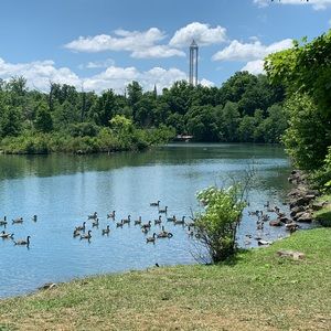 Meet your Posher, Tami